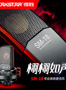 Takstar得胜SM-18电容麦克风K歌直播专业大振膜录音话筒设备全套