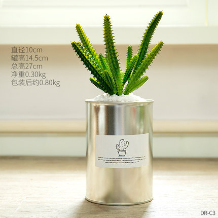 创意个性家居仿真植物小盆栽假多肉客厅餐桌书房店铺装饰品摆件
