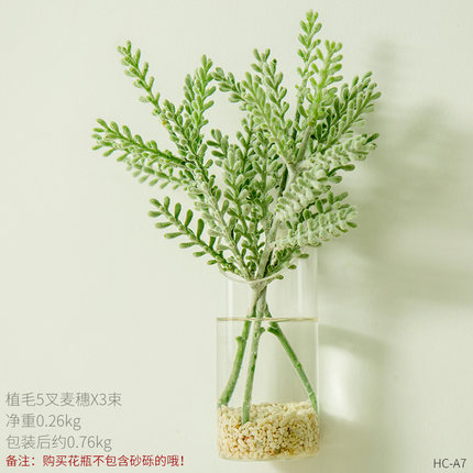 创意个性墙上水培插花花瓶壁挂玻璃透明干花小清新墙壁装饰品挂件