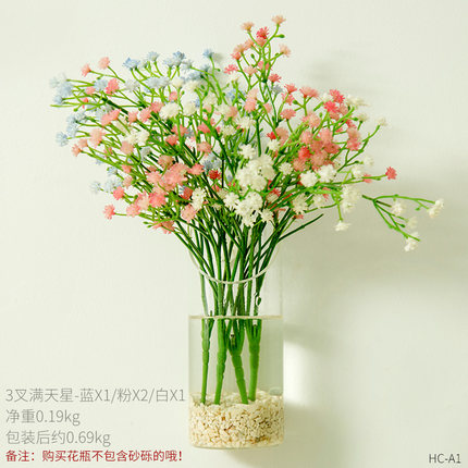 创意个性墙上水培插花花瓶壁挂玻璃透明干花小清新墙壁装饰品挂件