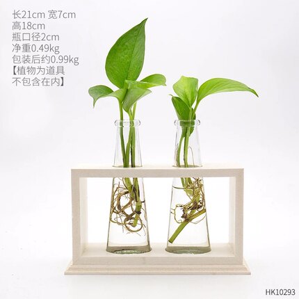 创意水培花瓶酒柜装饰品摆件家居客厅房间电视柜办公桌绿萝小摆设