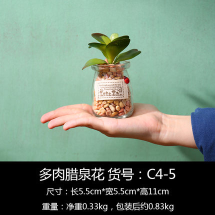 创意仿真盆栽植物小摆件室内客厅绿植玻璃盆景摆设置物架窗台装饰