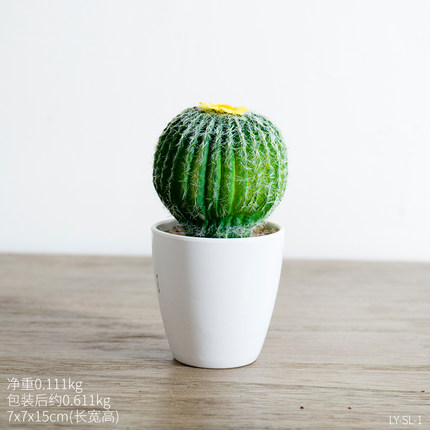 创意小清新可爱迷你植物盆栽 电脑桌室内办公桌面多肉装饰品摆件