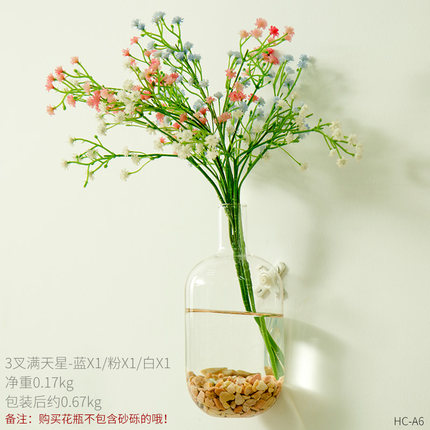 创意个性墙上水培插花花瓶壁挂玻璃透明干花小清新墙壁装饰品挂件