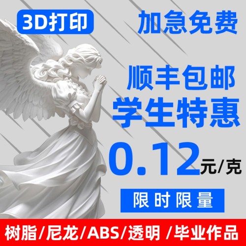 3d打印定制服务模型学生毕业设计
