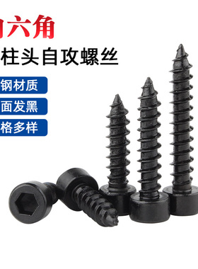 黑色碳钢圆柱头内六角自攻螺丝钉高强度发黑铁杯头尖尾螺钉M2-M3