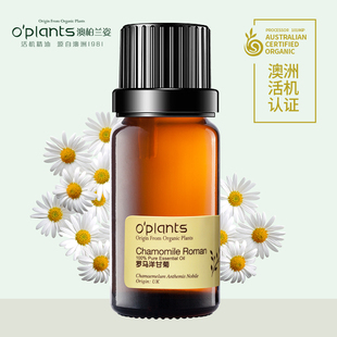 源自澳洲 10ml 调配按摩精油香薰 罗马洋甘菊单方精油 OPlants