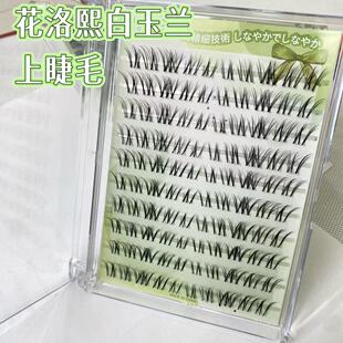 花洛熙白玉兰上睫毛自然分段超自然日常新手懒人仿真