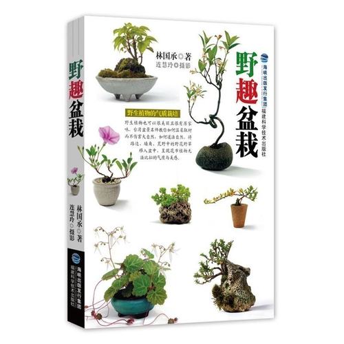 野趣盆栽价格 野趣盆栽图片 星期三