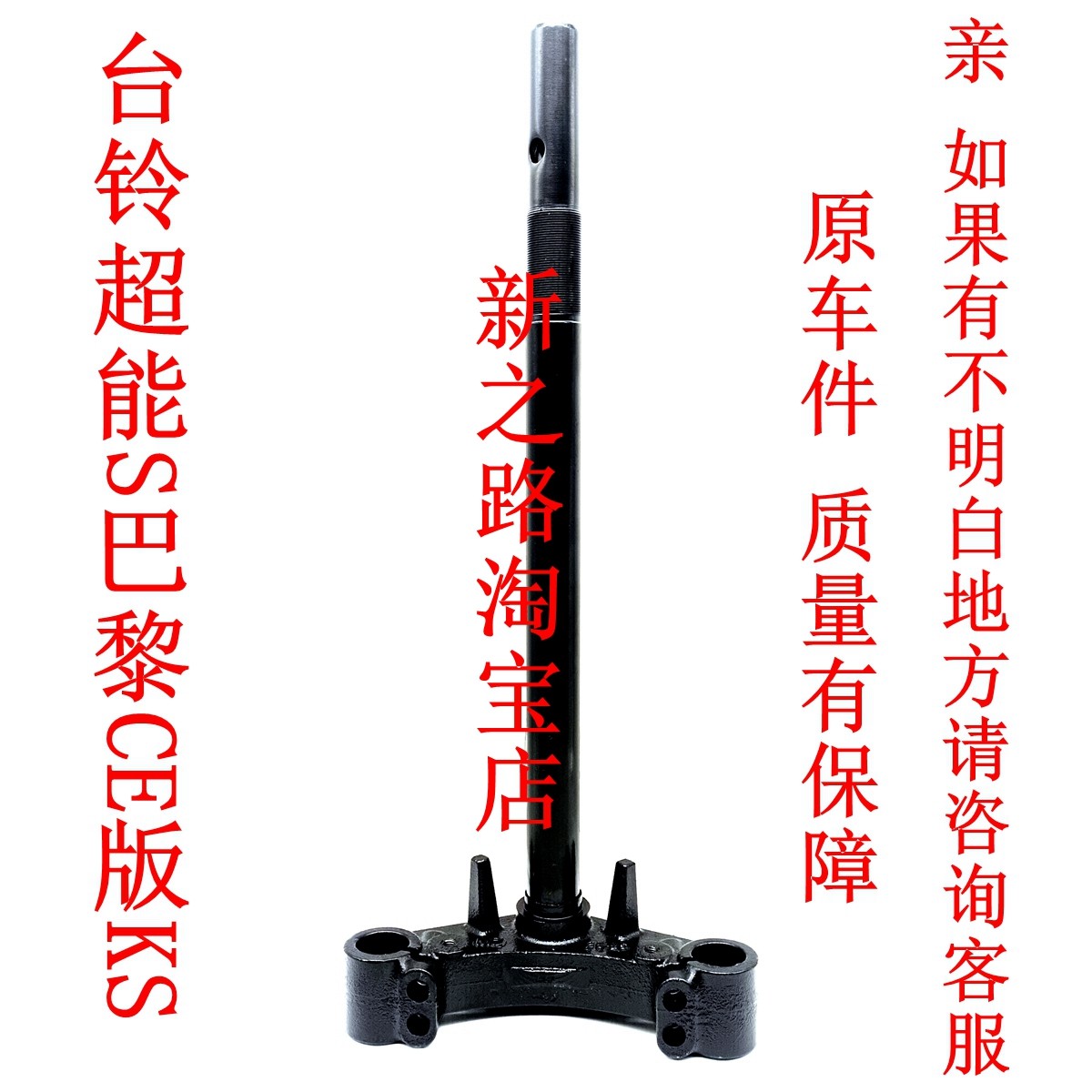 适配台铃巴黎CE版EB电动车三星柱图片