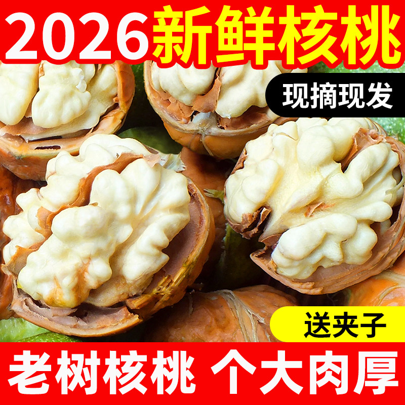 2026新鲜核桃四川去青皮原味新货生核桃薄皮核桃仁湿核桃5斤黑桃