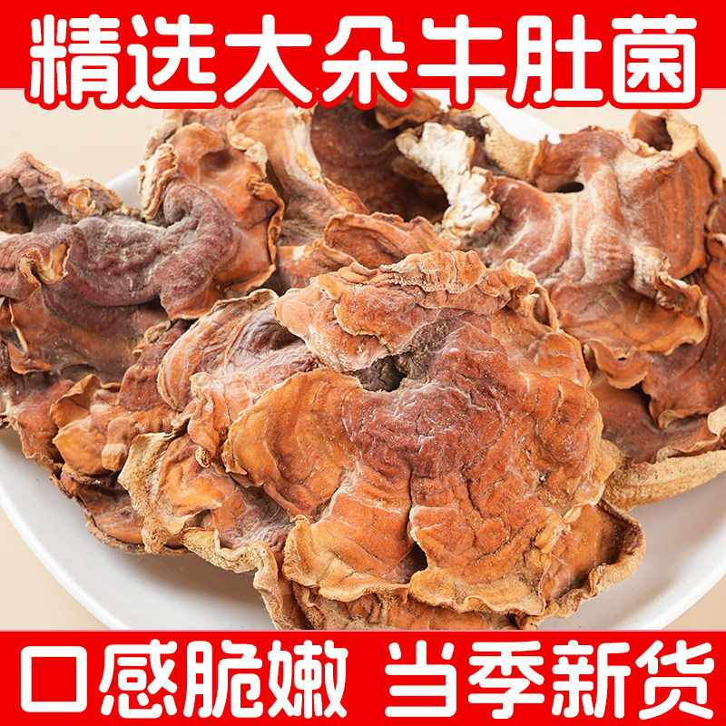 牛肚菌干货菌类煲汤食材蘑菇四川特产大全大香菇鹿茸菌新鲜榆黄蘑