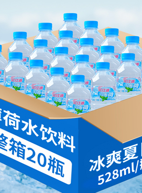 沱江源薄荷水528ml*20瓶整箱商用批发清凉夏季风味饮料瓶装便携