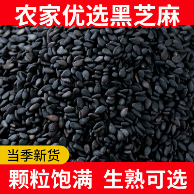 黑芝麻生新货5斤农家芝麻仁2024年炒熟芝麻粒生的优质打豆浆专用