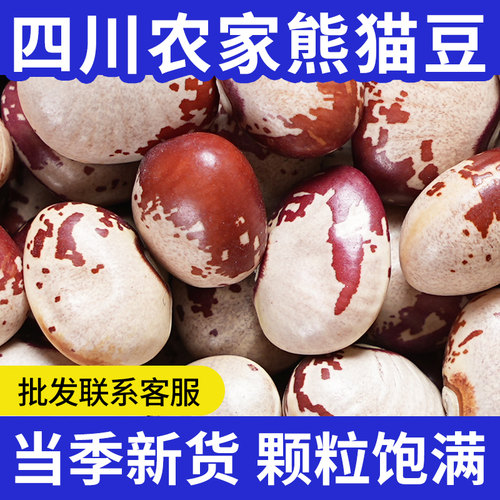 四川熊猫豆新货豆类大全干货花豆饭豆批发花芸豆农家猫眼豆打豆浆