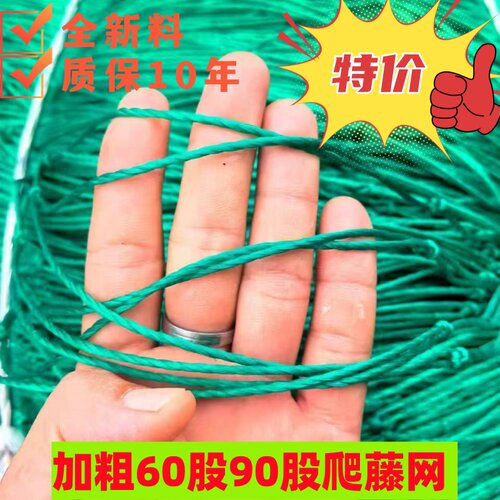 丝瓜爬藤网吊瓜苦瓜豆角百香果