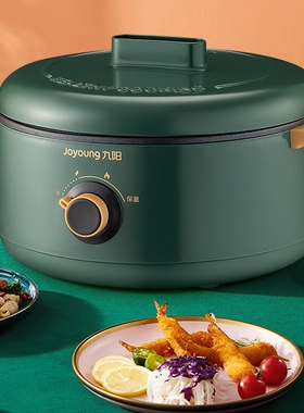 九阳紫砂电炖锅DG20G-GD160家用多功能电火锅