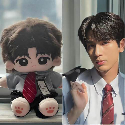 张凌赫20cm棉花娃娃朋友生日礼物