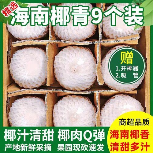 海南椰青新鲜椰子当季孕妇水果