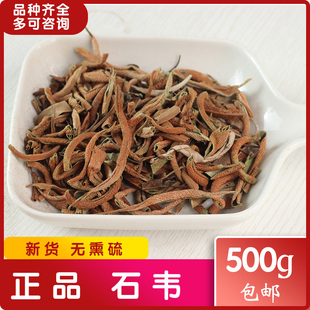 石韦 飞刀剑化石草石皮肾精草石兰金茶钥 广西玉林中药材市场干货