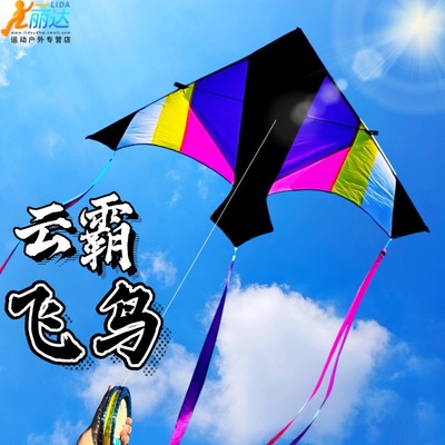 2025新款云霸飞鸟风筝