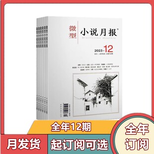 【全年订阅】微型小说月报杂志2026年1-6/7-12月半年/全年订阅 小小说杂文选刊文学文摘类散文近现代中篇小说短篇原创期刊