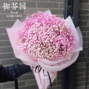 满天星花束表白鲜花速递太原天津广州成都石家庄济南同城送花上门