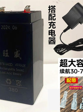 电子秤电池4V4AH4伏5A台秤磅秤通