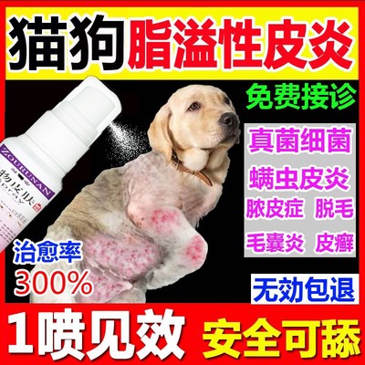 猫癣专用药猫咪真菌感染皮炎脱毛黑下巴外用皮肤病瘙痒藓特效喷雾