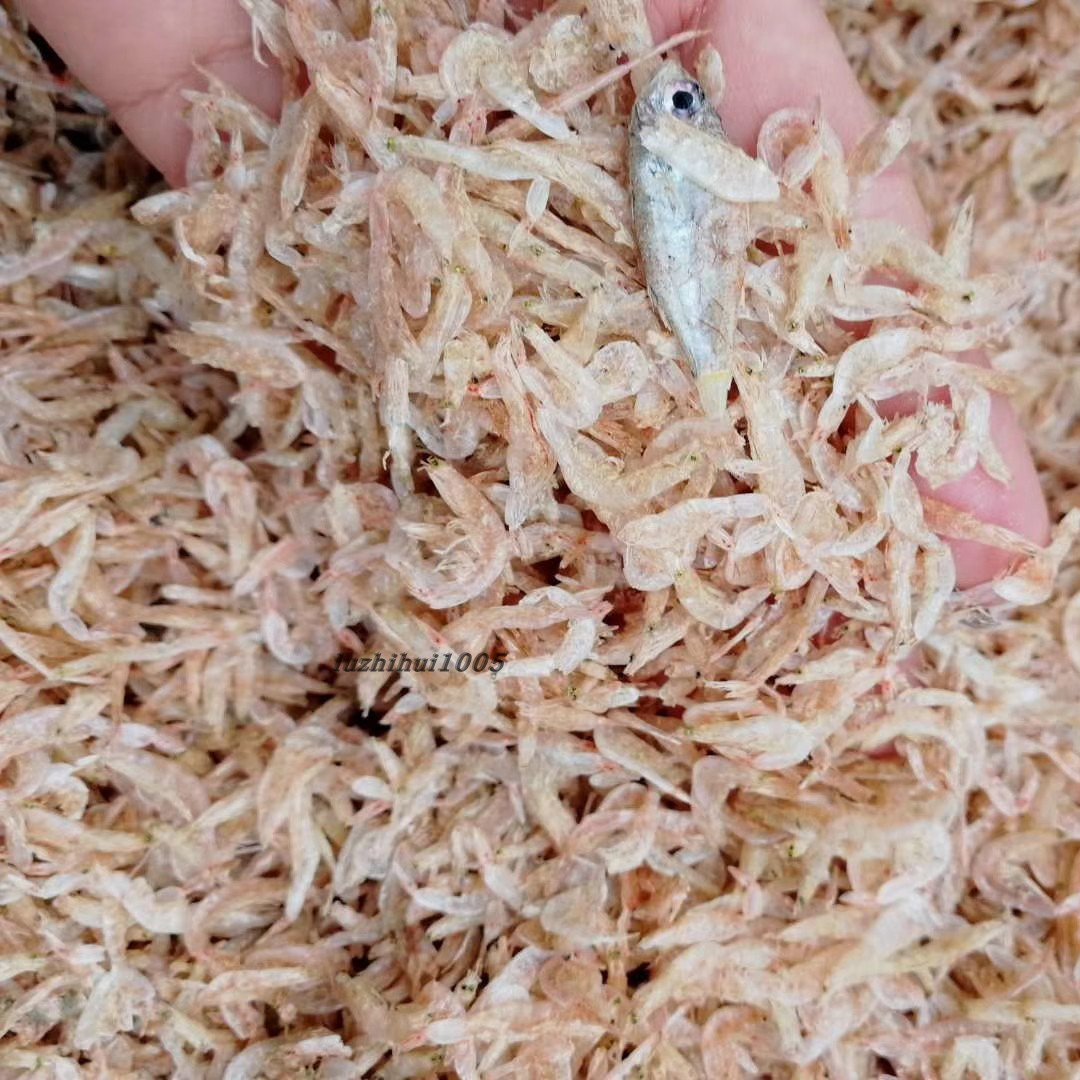 新鲜淡干无盐熟虾皮虾米海米宝宝孕妇辅食即食海鲜水产干货500克