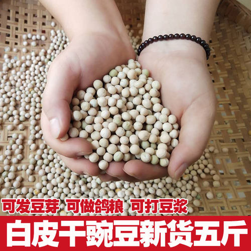 新鲜散装5斤种籽干豌豆