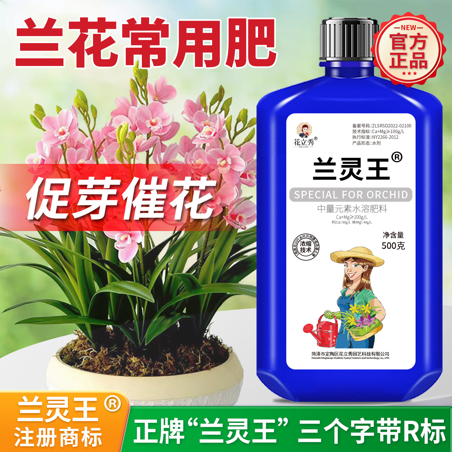 兰灵王兰花专用营养液肥料正品蝴蝶兰君子兰多箭素兰陵王植物通用