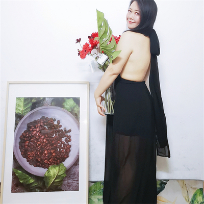 礼服深v连衣裙晚宴聚会派对性感