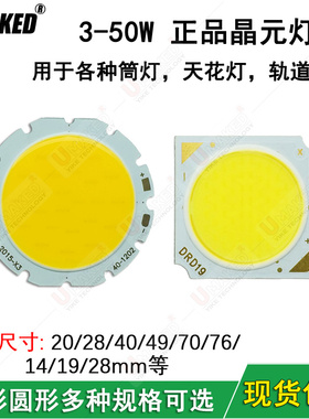 20w30w正白暖白光 28x28mm方形COB LED集成灯珠 节能LED灯