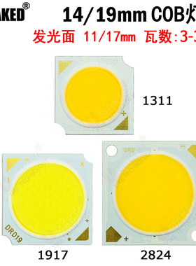 20w30w正白暖白光 28x28mm方形COB LED集成灯珠 节能LED灯