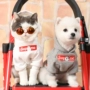 Pet cha mẹ mèo con quần áo mùa thu và mùa đông cộng với nhung ấm áp trang phục chó Teddy VIP chó con Bomei quần áo thủy triều - Quần áo & phụ kiện thú cưng bán đồ thú cưng