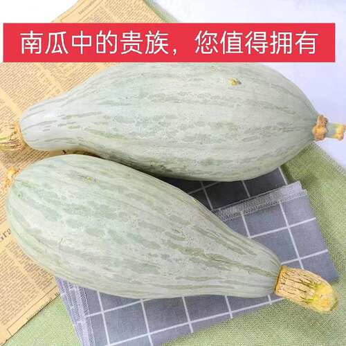 新疆南瓜粉面正品粉面