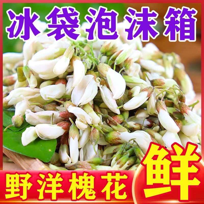 槐花现摘野生新鲜槐花新鲜洋槐花刺槐花秦岭山区花骨朵槐花加冰发