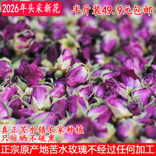 2026年正宗永登县苦水玫瑰晒干无硫熏甘肃兰州玫瑰花蕾花苞半斤装