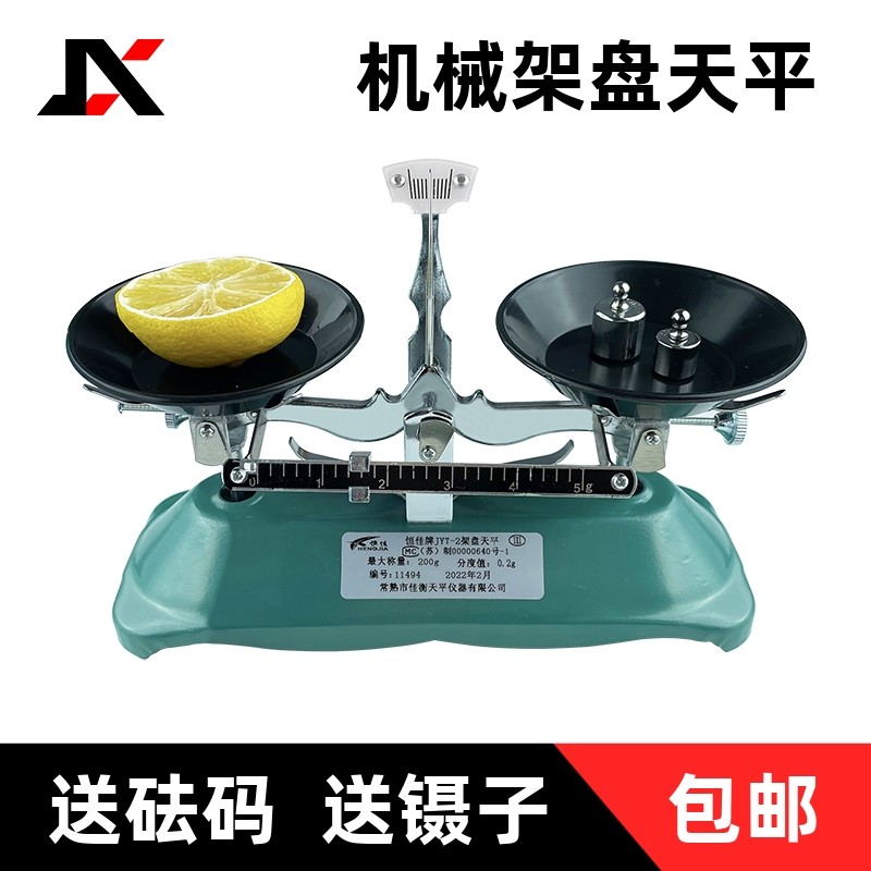 托盘天平 架盘天平 砝码天平 天平仪器100g 200g 500g 1000g/0.1g