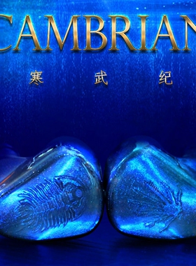 MiAoLo/米傲乐 Cambrian/寒武纪圈铁静电六单元入耳式耳机平衡4.4