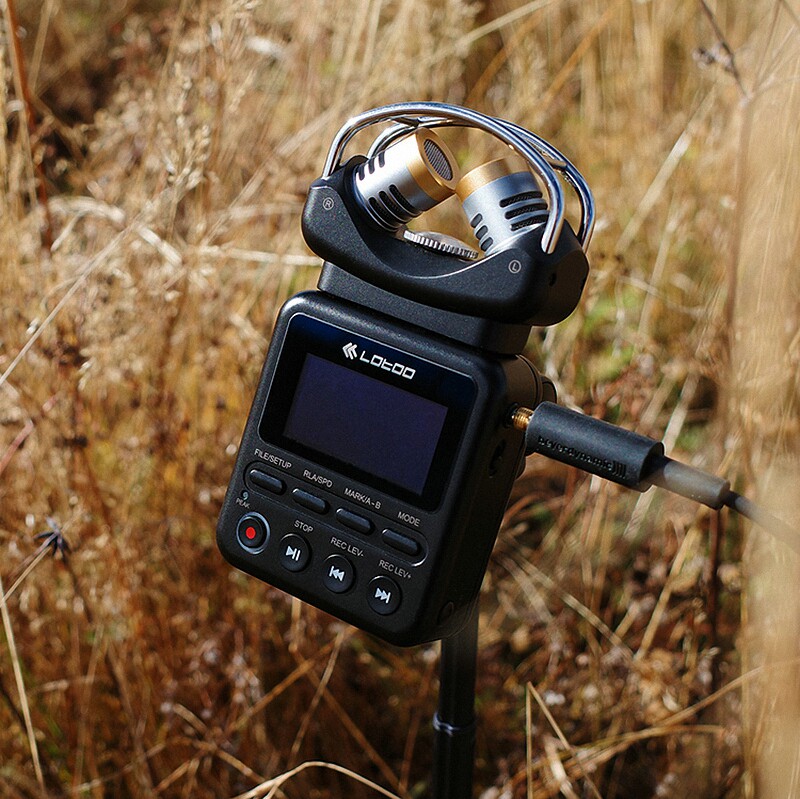 乐图 lotoo paw 1 专业高清录音笔usb解码耳放dac智能降噪远程