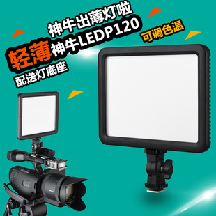 神牛P120C摄影灯外拍常亮补光灯单反LED柔光灯人像婚庆轻薄摄像灯