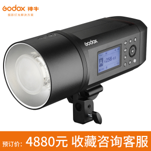 神牛AD600 PRO外拍灯闪光灯高速同步TTL高速连拍2.4G内置X接收器