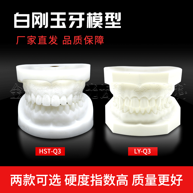 白刚玉备标准牙模型练习