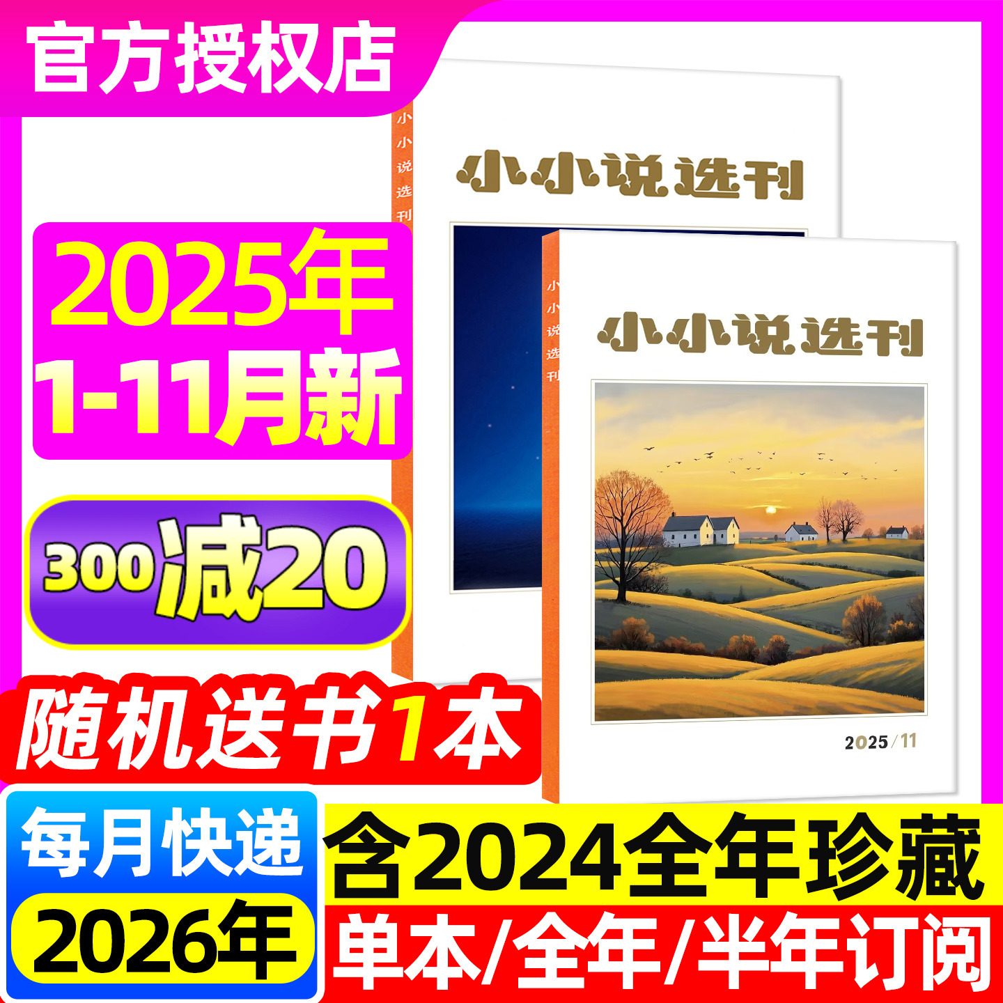 小小说选刊2025年1-11月/26订阅