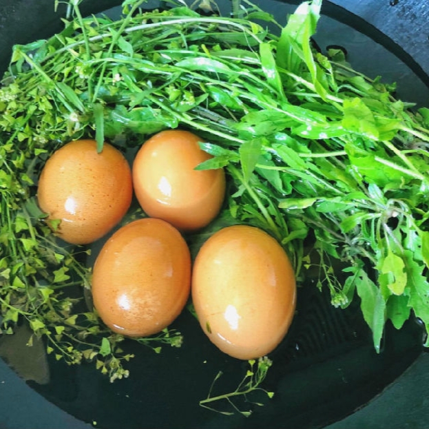 四川野生新鲜老荠菜也有晒干的月子煮鸡蛋药用荠菜下单现挖,水产肉类/新鲜蔬果/熟食,其它,淘宝优惠券,粉丝福利购,淘宝优惠卷