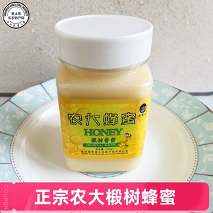 【农大蜂蜜】正宗东北黑蜂椴树雪蜜1斤装 农大科技园纯正野生原蜂