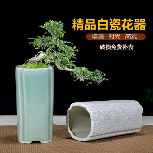 紫砂花盆青瓷釉兰花盆高盆多肉盆栽四方六方形签筒悬崖盆景盆白色
