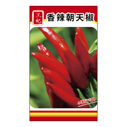 香辣朝天椒种子特辣指天椒辣椒种子小米椒阳台盆栽庭院高产辣椒种